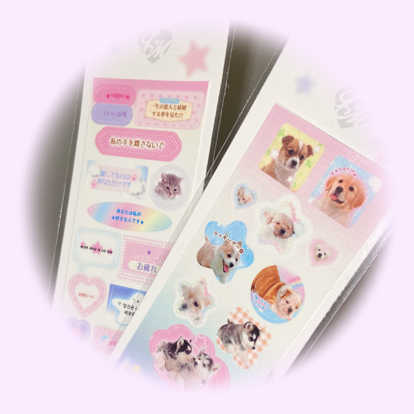Rainbow | 2 versiones